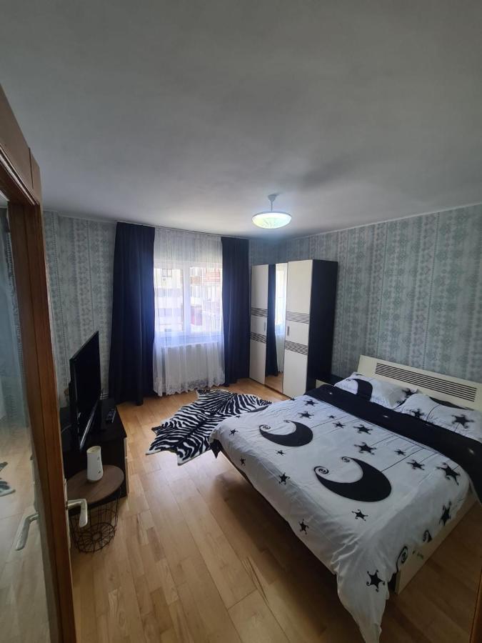 Garsoniera Slanic-Moldova Apartment Екстериор снимка