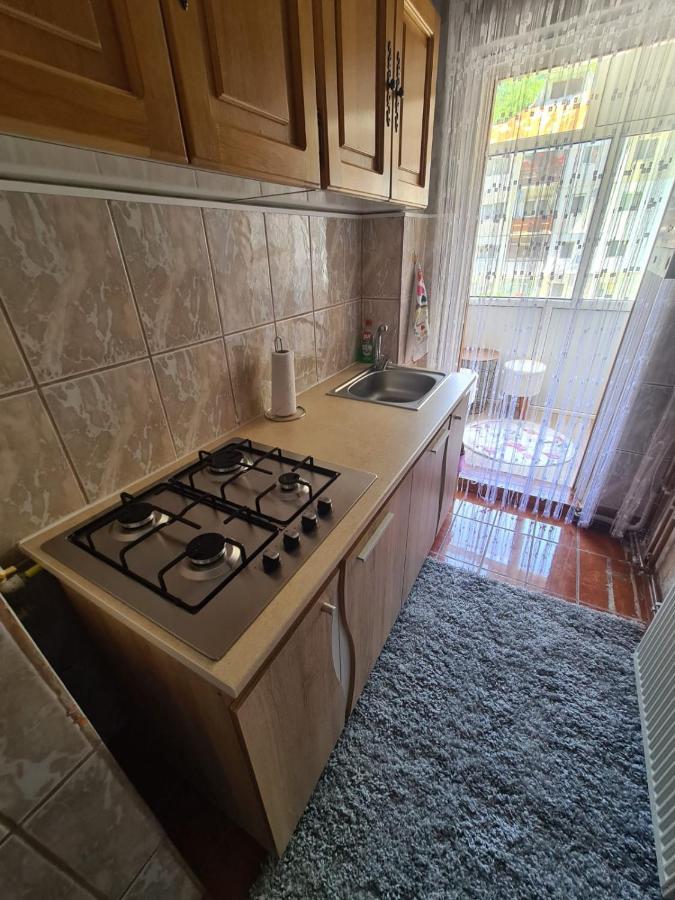 Garsoniera Slanic-Moldova Apartment Екстериор снимка