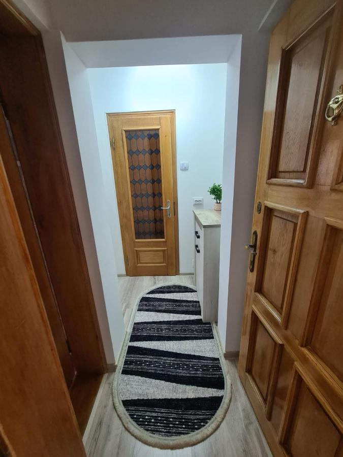 Garsoniera Slanic-Moldova Apartment Екстериор снимка
